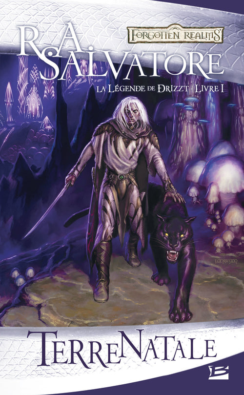 La Légende de Drizzt, T1 : Terre natale