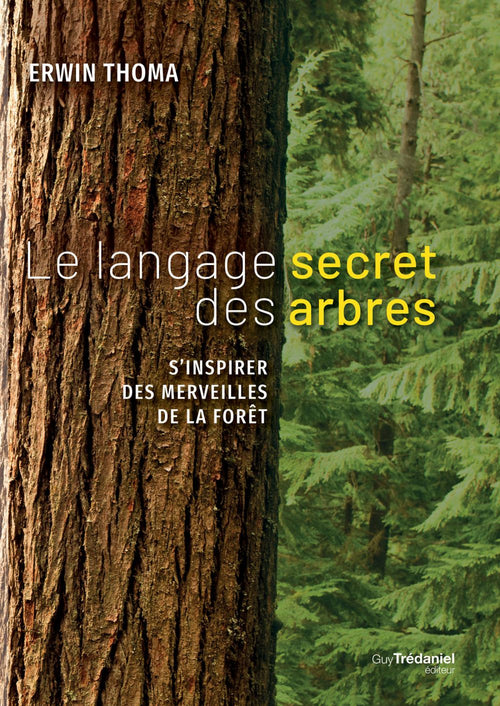 Le langage secret des arbres