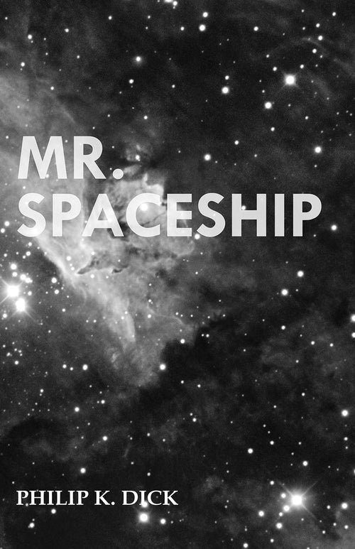 Mr. Spaceship