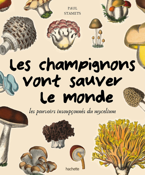 Les champignons vont sauver le monde