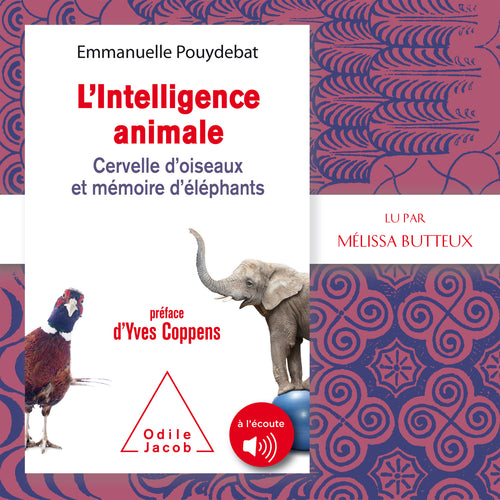 L'Intelligence animale