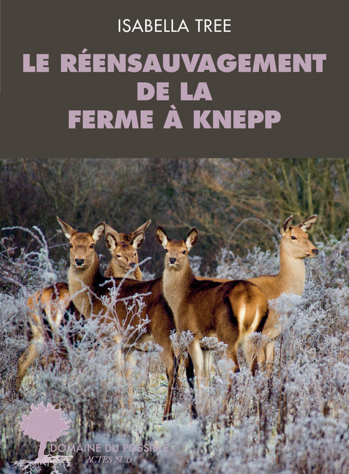 Le réensauvagement à la ferme de Knepp