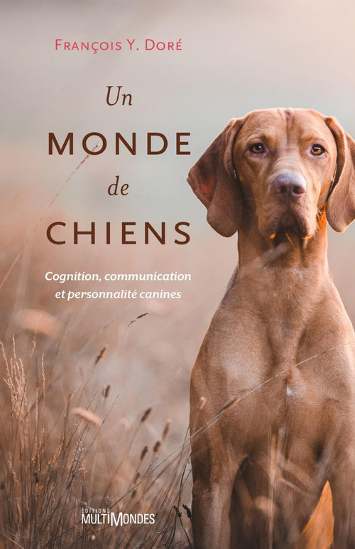 Un monde de chiens