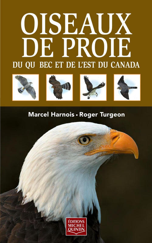 Oiseaux de proie du Québec et de l'est du Canada