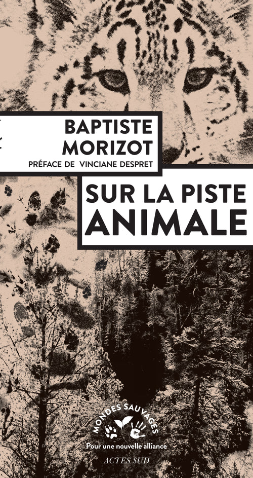 Sur la piste animale