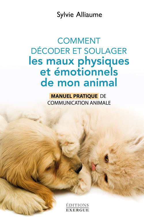 Comment décoder et soulager les maux physiques et émotionnels de mon animal