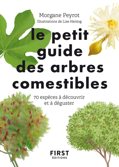 Petit guide des arbres comestibles