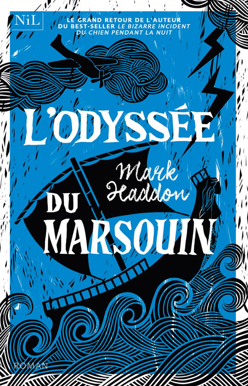 L'Odyssée du marsouin