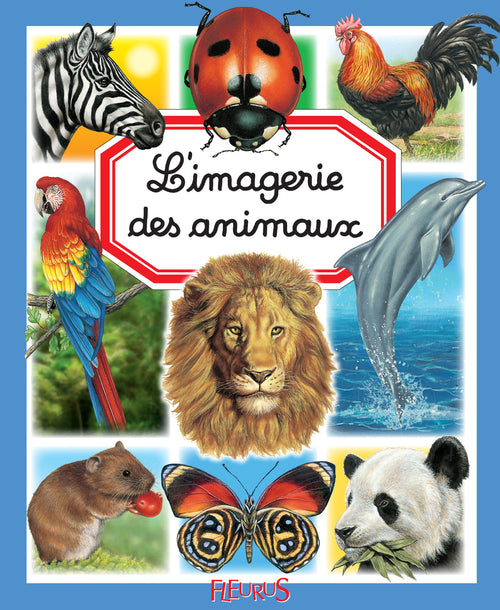 L'imagerie des animaux