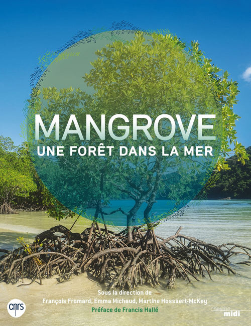 Mangrove, une forêt dans la mer