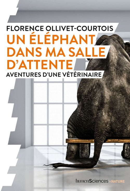 Un éléphant dans ma salle d'attente