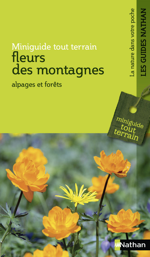 Fleurs des montagnes