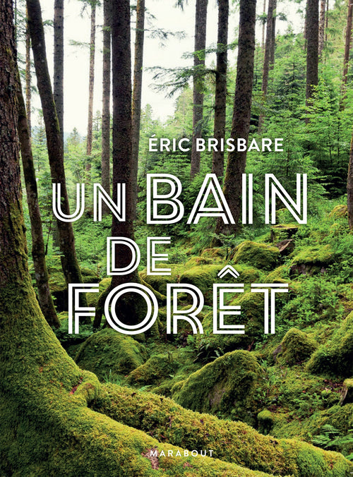 Un bain de forêt - Edition illustrée