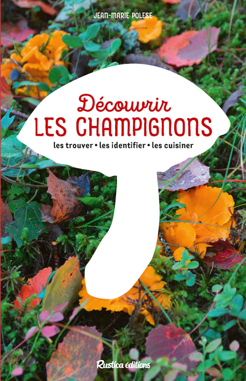 Découvrir les champignons