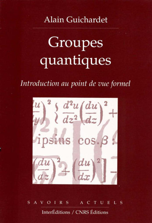 Groupes quantiques - Introduction au point de vue formel