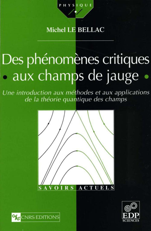 Des phénomènes critiques aux champs de jauge - Une introduction aux méthodes et aux applications de la théorie quantique des champs