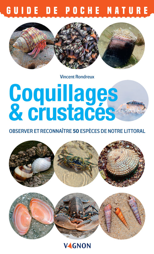 Coquillages & crustacés du bord de mer