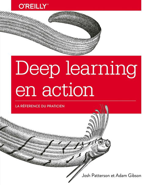 Deep learning en action - Une approche par la pratique - collection O'Reilly