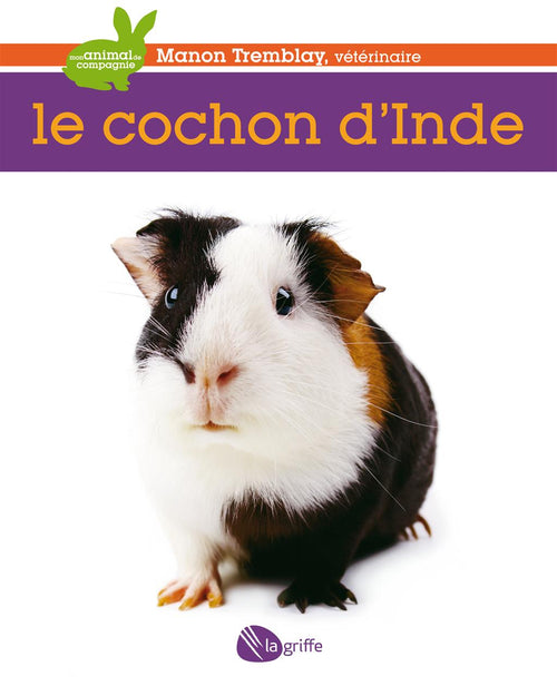 Le cochon d'Inde