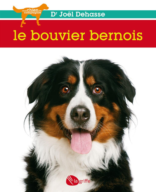 Le bouvier bernois